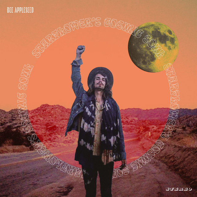 Starflower's Cosmic Soul cover art
