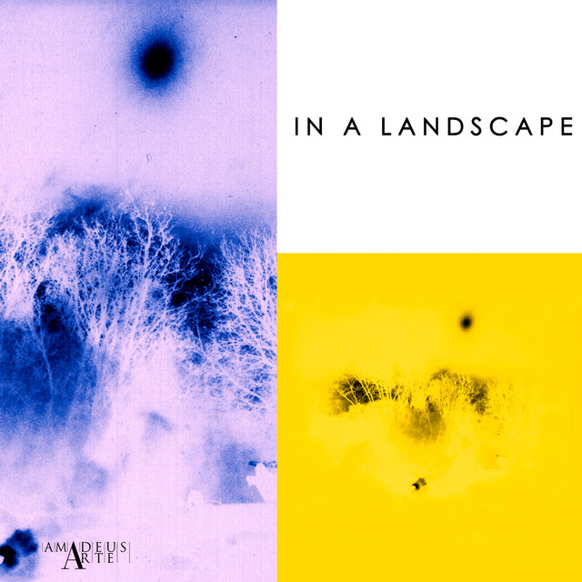 In a landscape