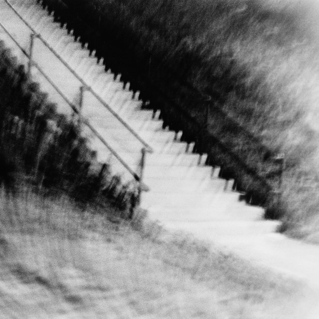 Leila Abdul-Rauf image