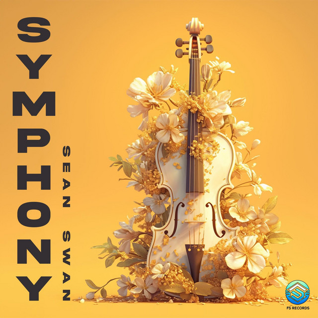 Symphony - Radio Edit