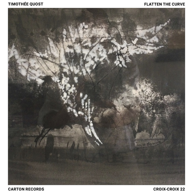 Flatten The Curve - Album by Timothée Quost | Spotify
