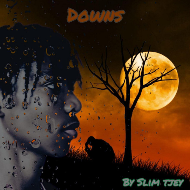 Downs cover art