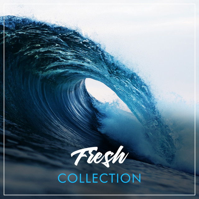 #Fresh Collection - Album by Wave Ambience | Spotify
