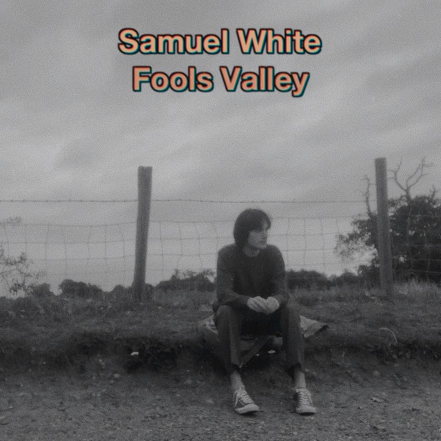 Fools Valley cover art