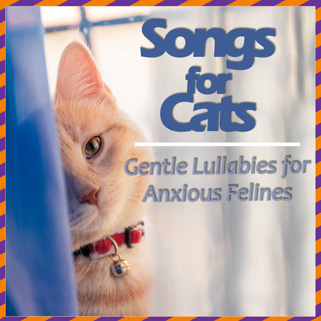 Songs for Cats - Gentle Lullabies for Anxious Felines - Album by ...