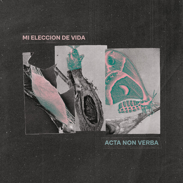 Acta Non Verba cover art
