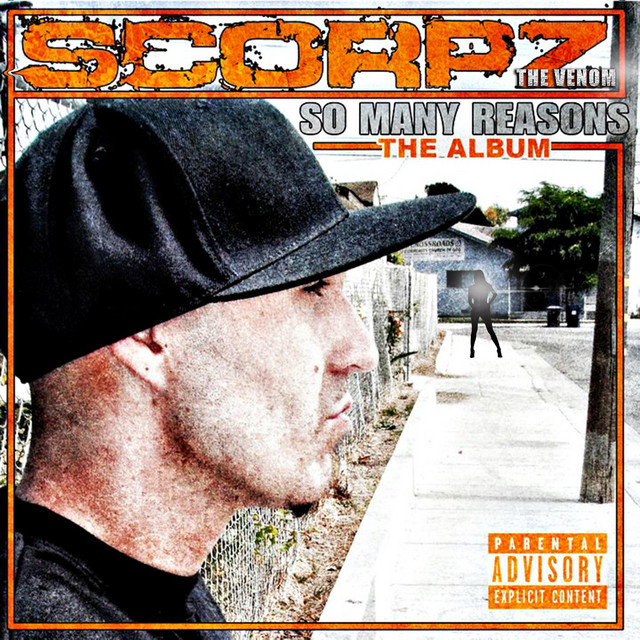 So Many Reasons cover art