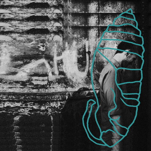 Cocoon cover