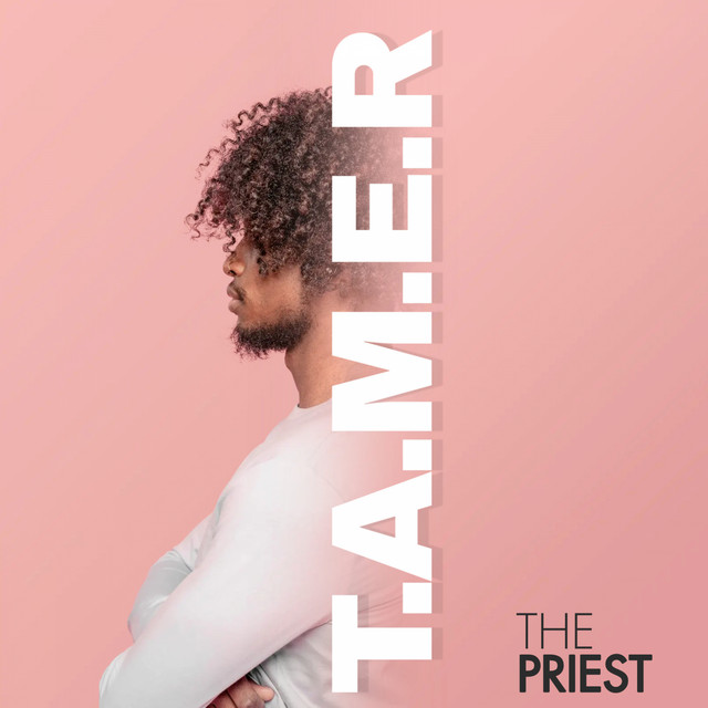 T.A.M.E.R cover art