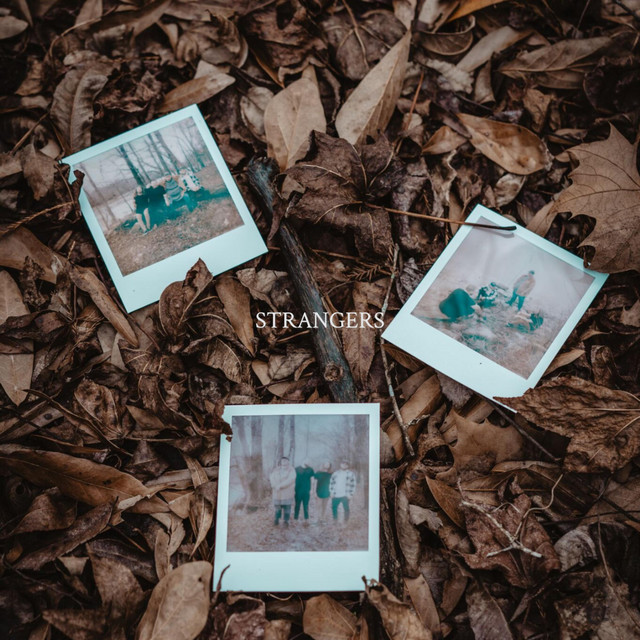 Strangers cover art