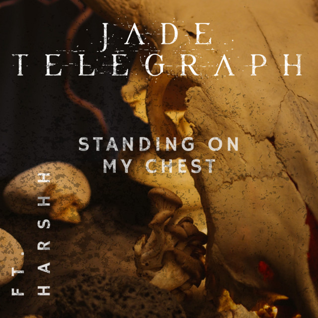 Standing On My Chest - Instrumental