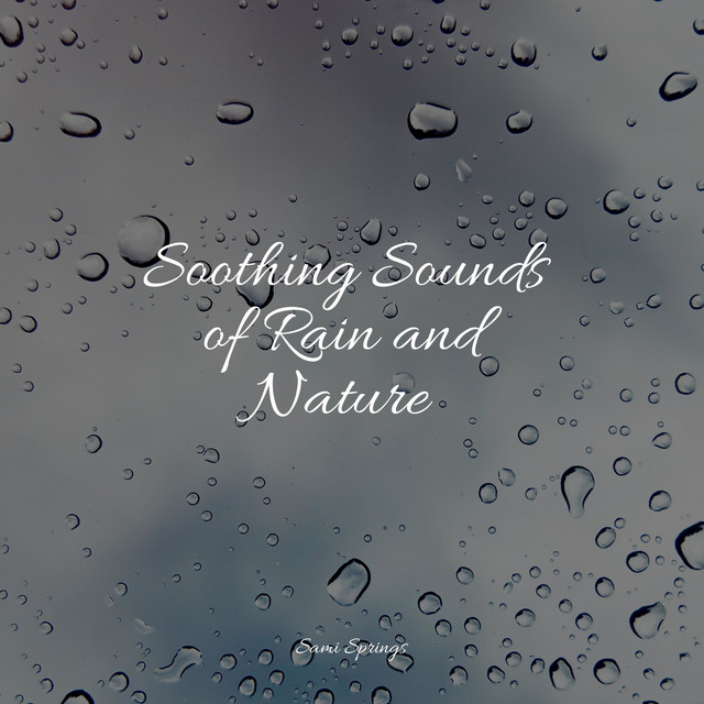 25 Loopable Rain Sounds for Sleep and Serenity - Album by Tranquil ...