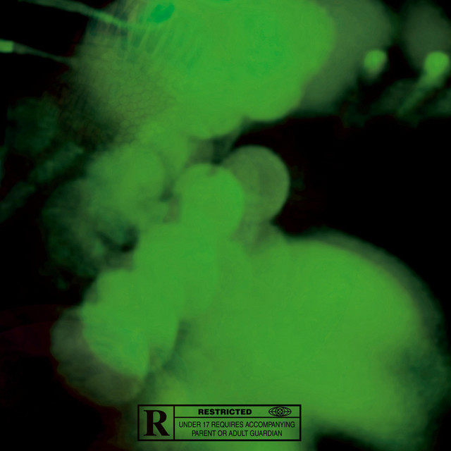 Calidad cover art