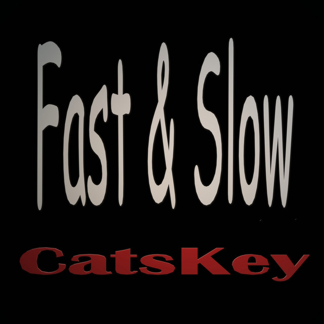 Fast & Slow cover art