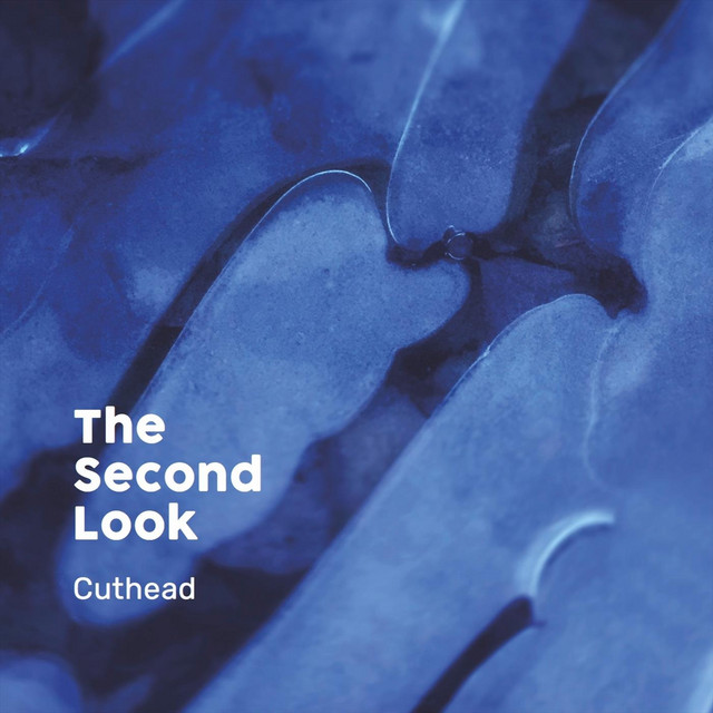 The Second Look cover art