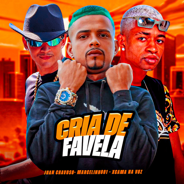 Cria de Favela