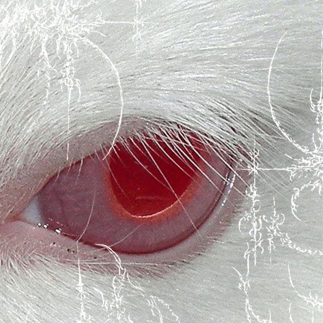 eye4eye cover art
