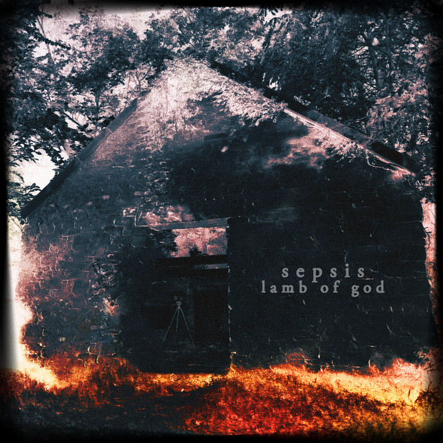 Sepsis cover art