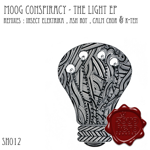 Black Sun - Insect Elektrika Remix cover art