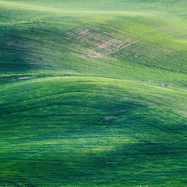 Green Noise Against Headache