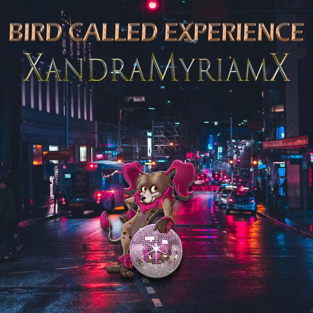 Bird Called Experience