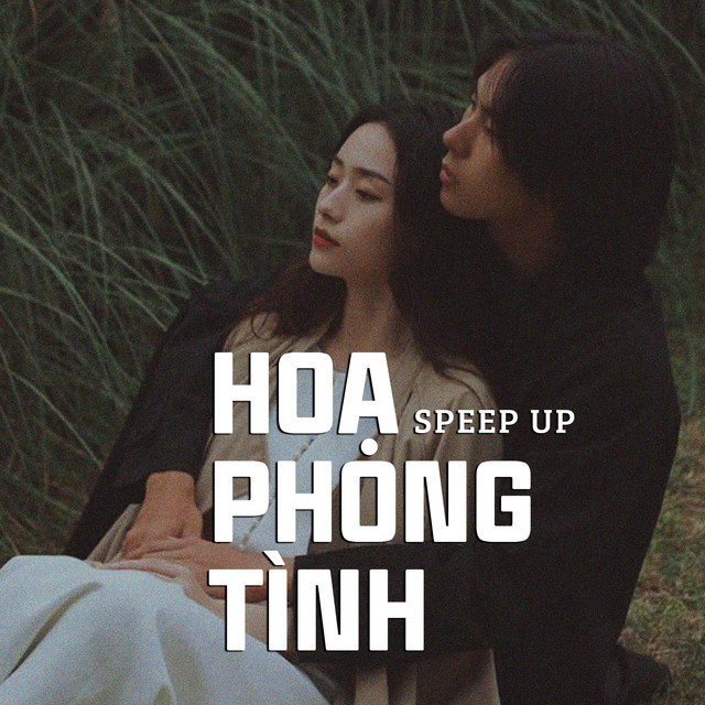 Họa Phong Tình (Speed up)
