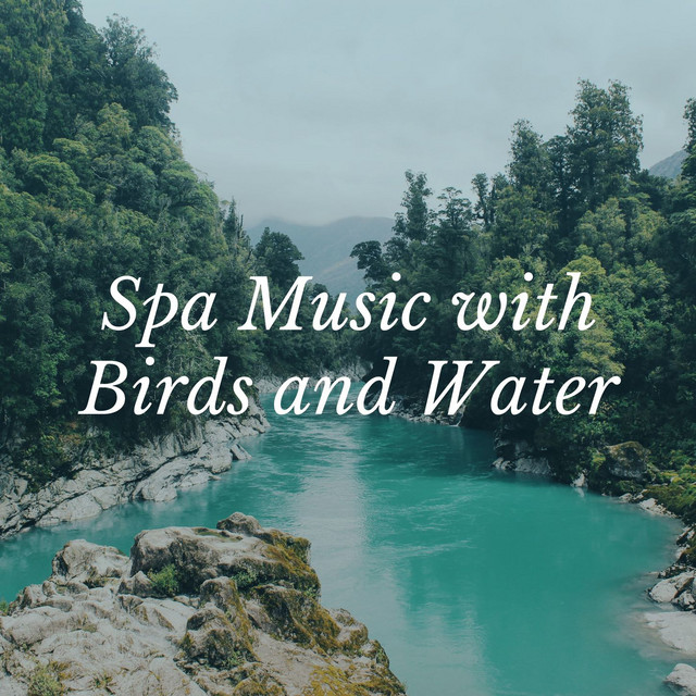 Spa Music with Birds and Water - song and lyrics by Spa Radio ...