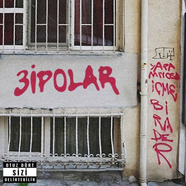 3İPOL4R cover art