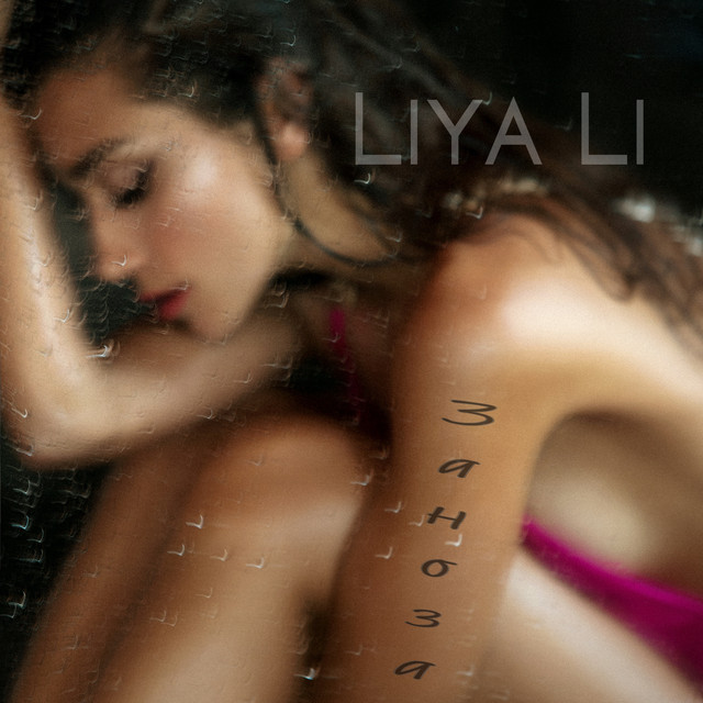 Обкладинка: Заноза — LIYA LI