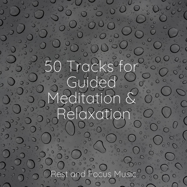 50 Tracks for Guided Meditation & Relaxation - Album by Ambientalism ...