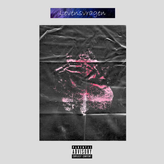 Levensvragen cover art