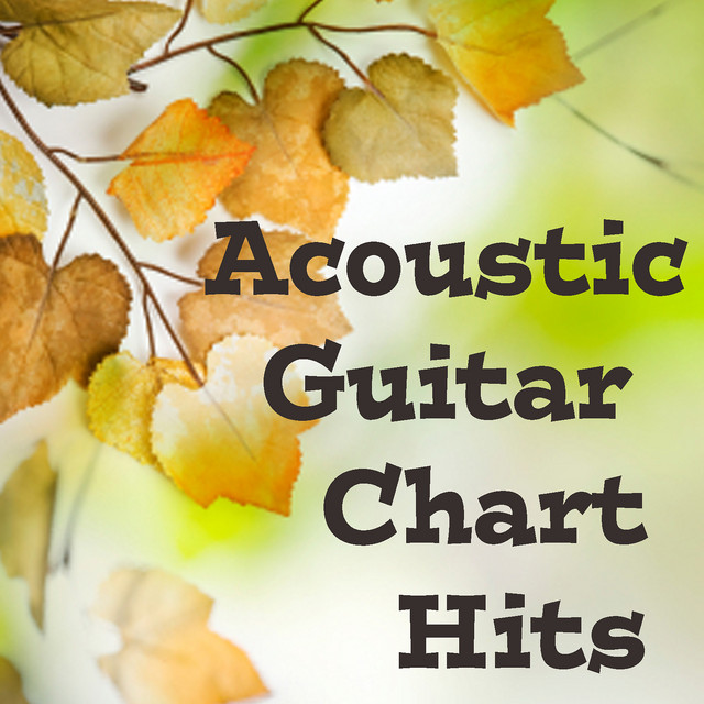 Acoustic Guitar Chart Hits cover art