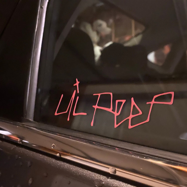 in the car cover art