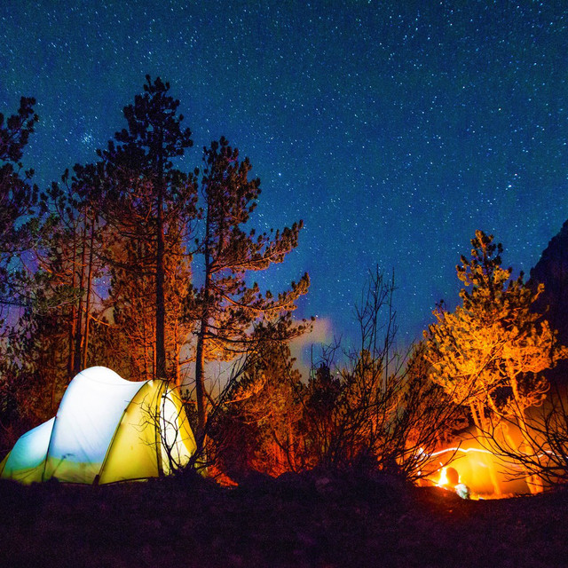 Crackling Campfire - Fire with Cricket Cicada - Camping in the Night cover art