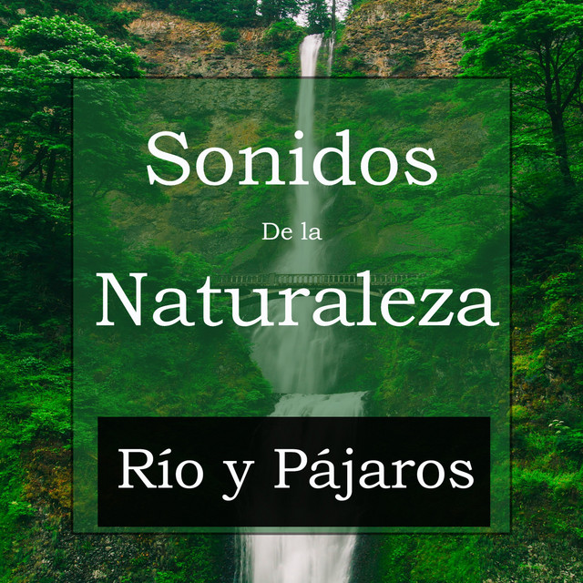 Sonidos De la Naturaleza: Río y Pájaros cover art