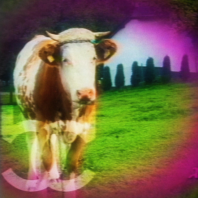 אטלנטה cover art