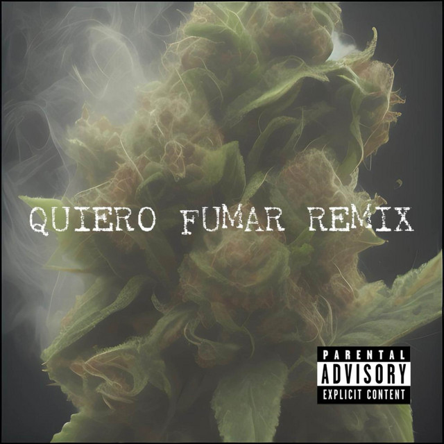 Quiero Fumar - Remix