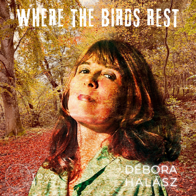 Where the Birds Rest cover art