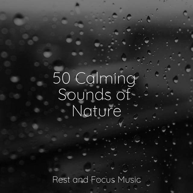 50 Calming Sounds of Nature - Album by Amazing Spa Music | Spotify
