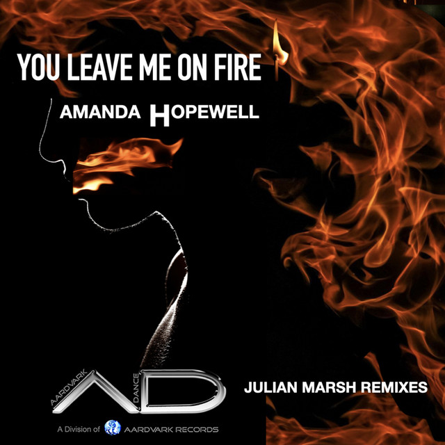 You Leave Me on Fire (Julian Marsh Remixes) cover art