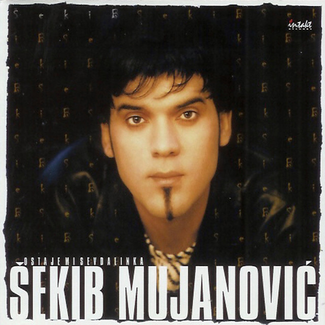 Šekib Mujanovic