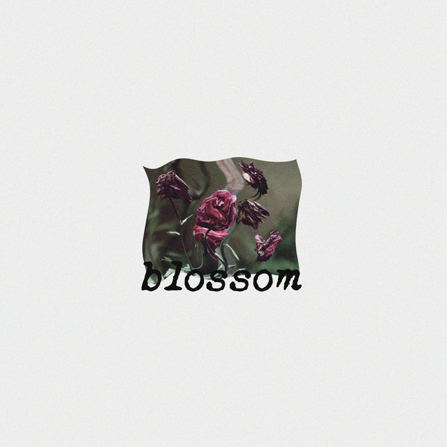 drrreems - blossom