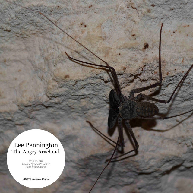 The Angry Arachnid cover art