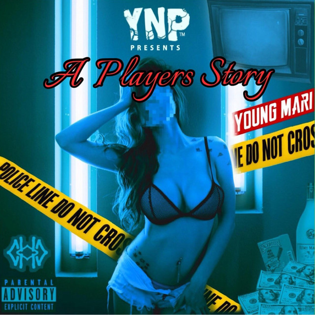 A Players Story cover art