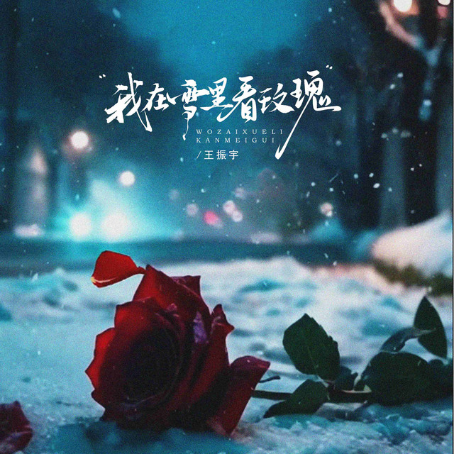 我在雪里看玫瑰