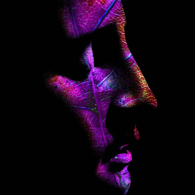 Siren