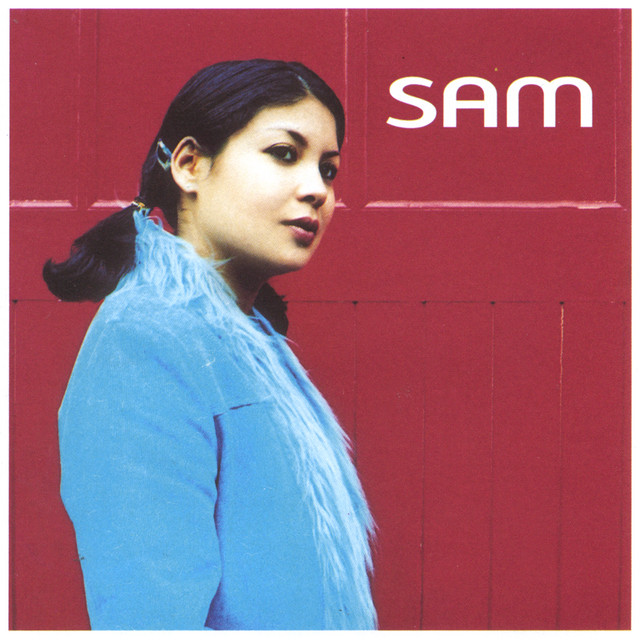 SAM cover art