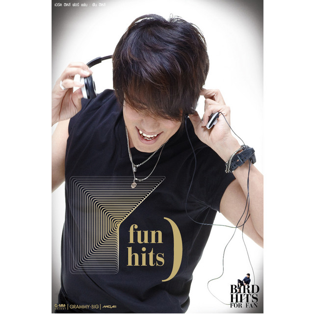 BIRD HITS FOR FAN : fun hits cover art