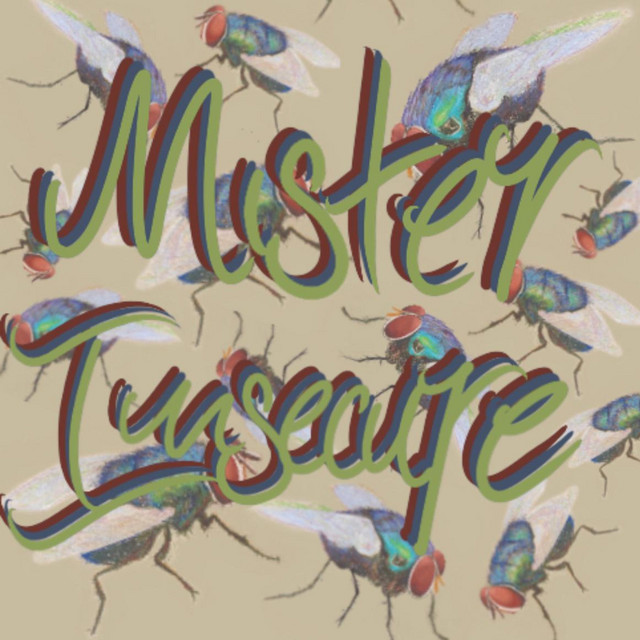 Mr. Insecure cover art