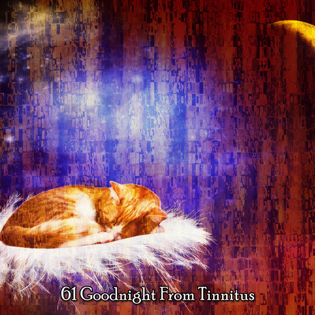 61 Goodnight From Tinnitus cover art